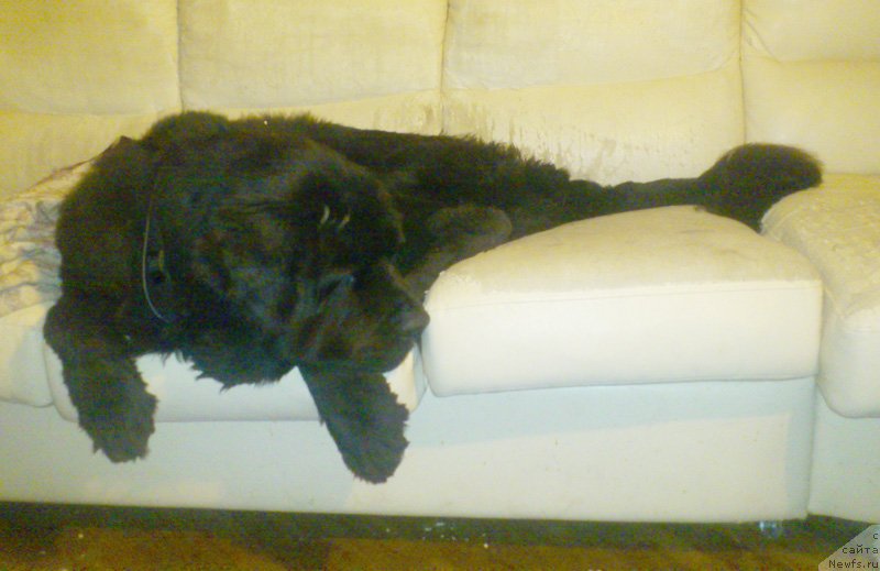 Фотография № 137619