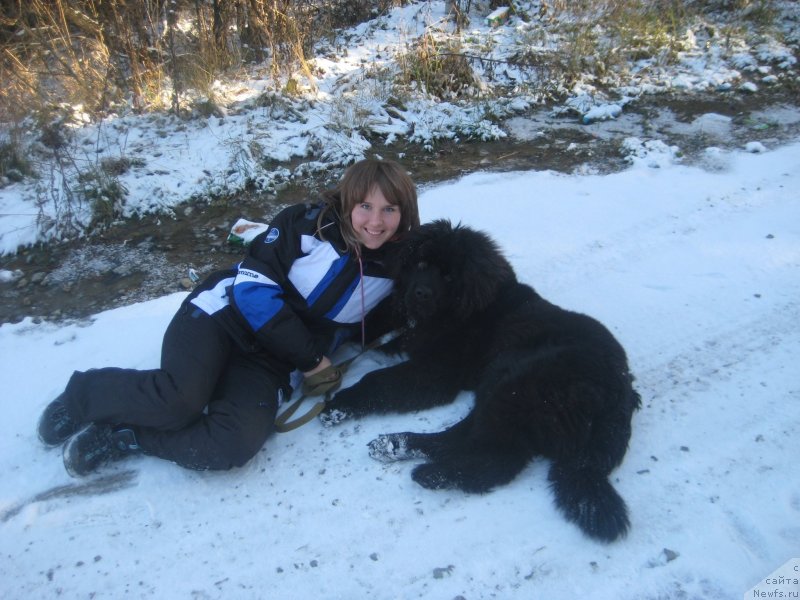 Фотография № 137623