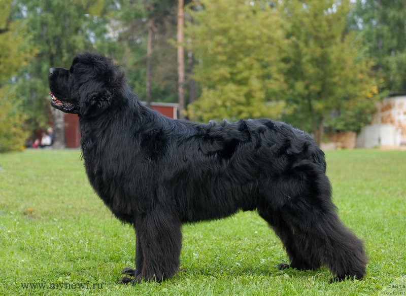 Фотография № 137684