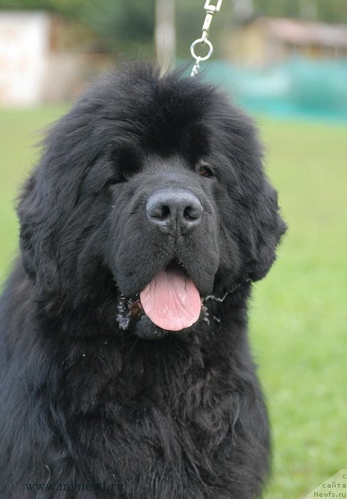 Фотография № 137685