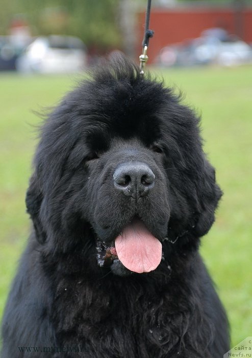 Фотография № 137687