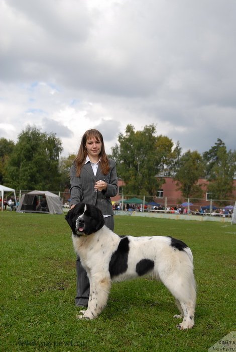 Фотография № 137689