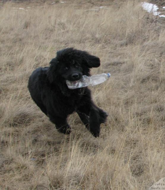 Фотография № 13769