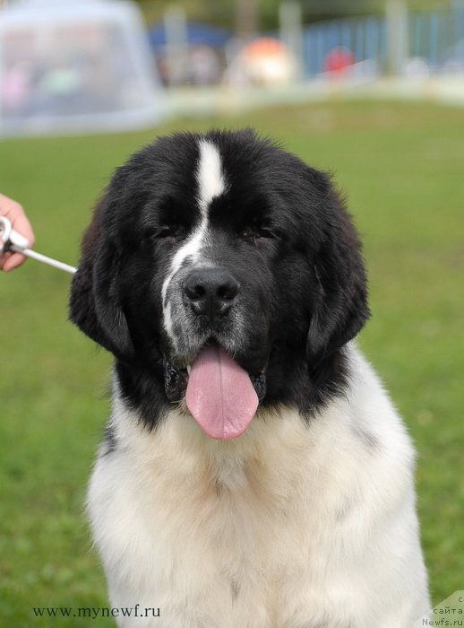 Фотография № 137691