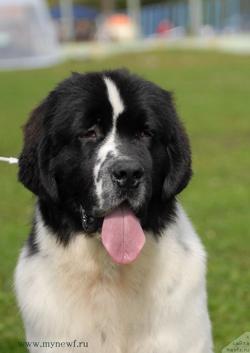 Фотография № 137692