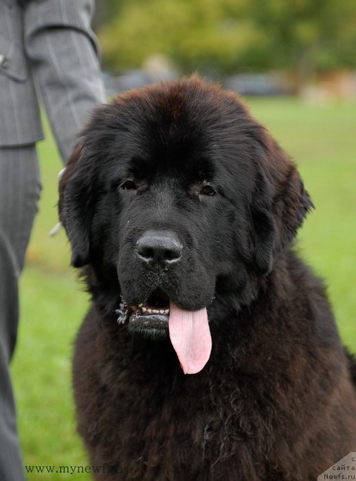 Фотография № 137698