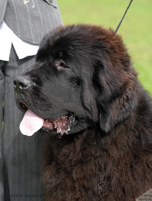 Фотография № 137699