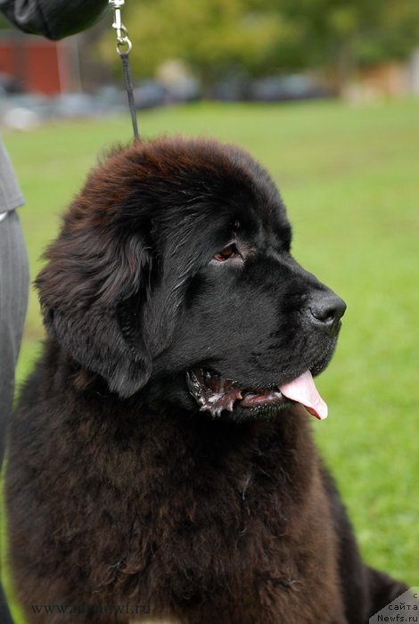 Фотография № 137700