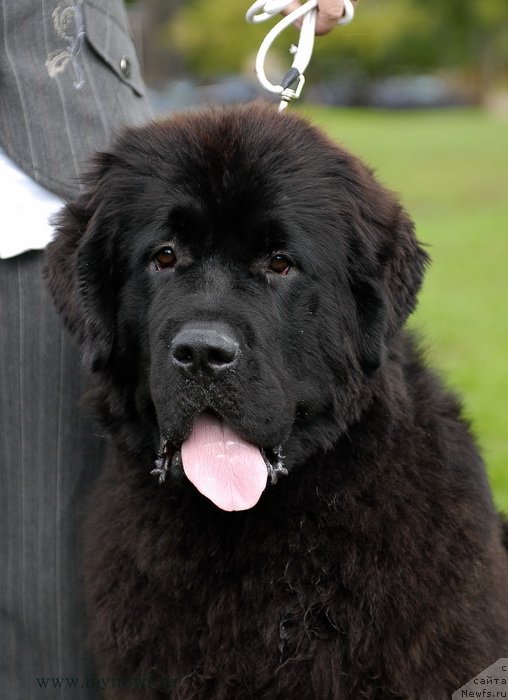 Фотография № 137701