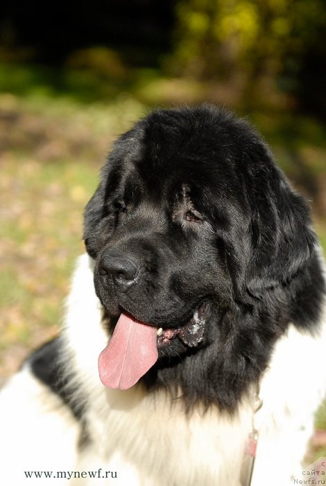 Фотография № 137712