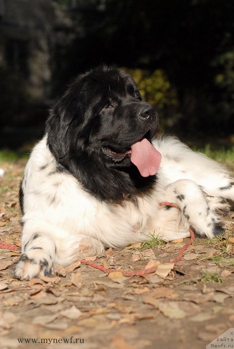 Фотография № 137713