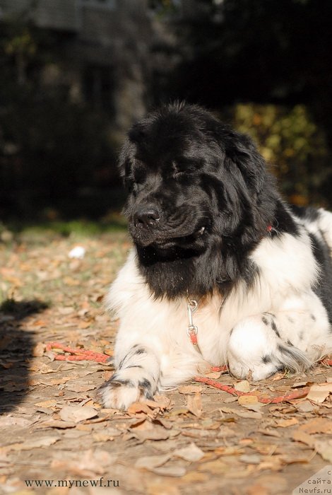 Фотография № 137714