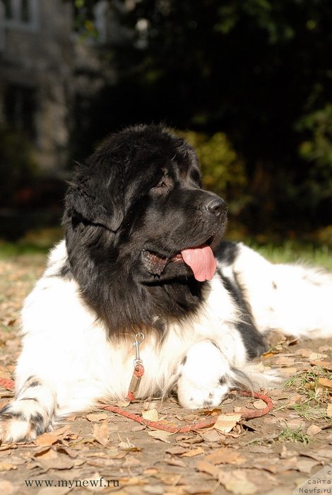 Фотография № 137716