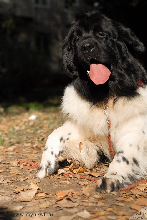 Фотография № 137718