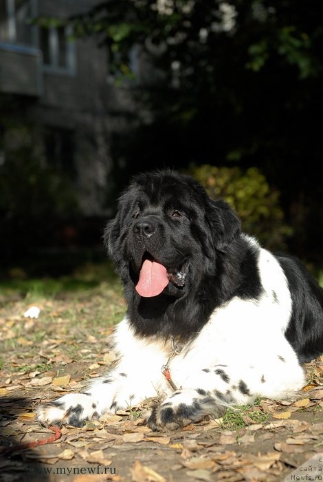 Фотография № 137719