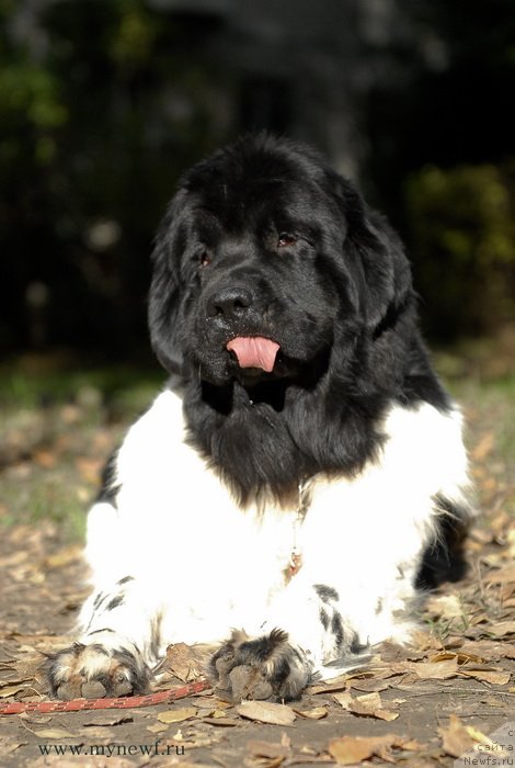 Фотография № 137724