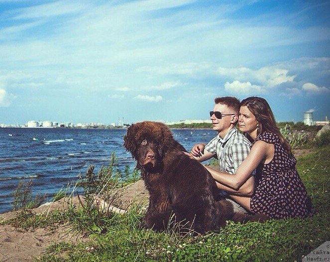 Фотография № 137746