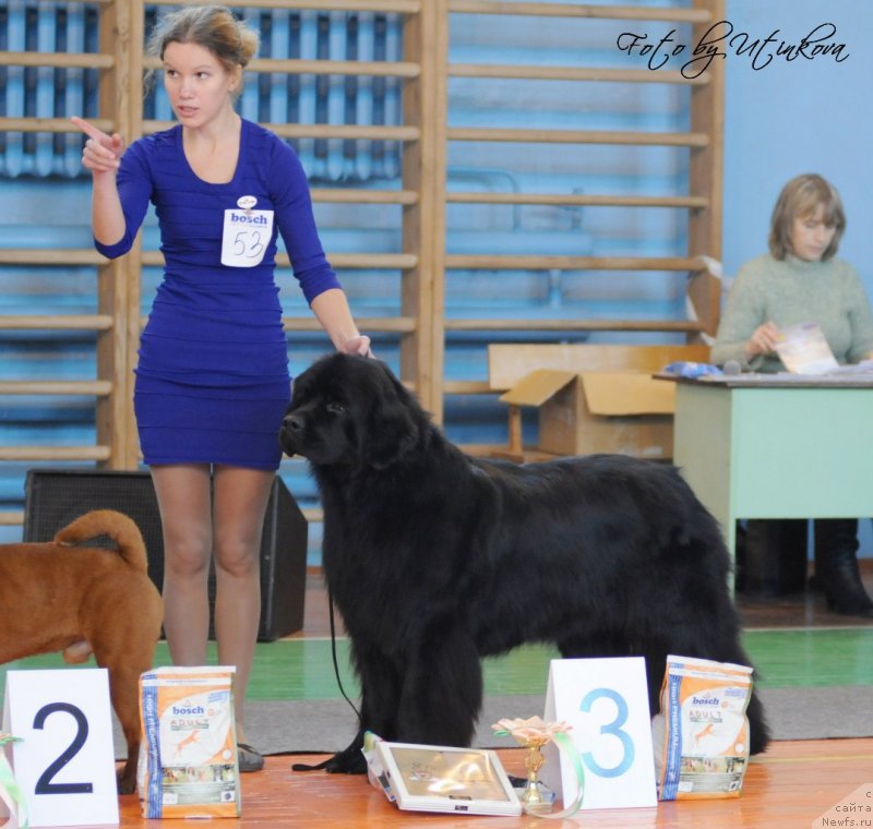 Фотография № 137758