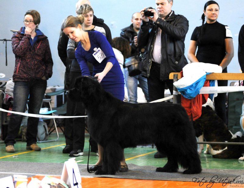 Фотография № 137759