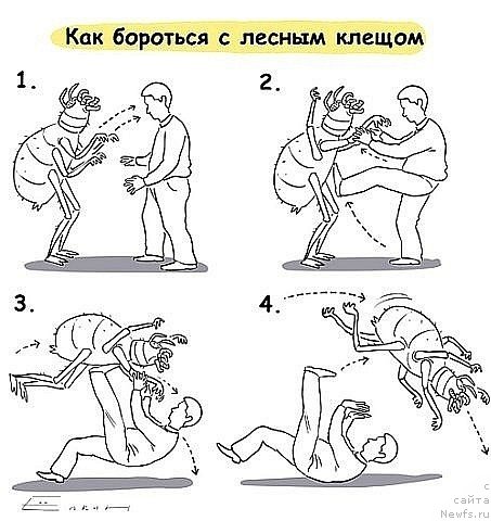 Фотография № 137822