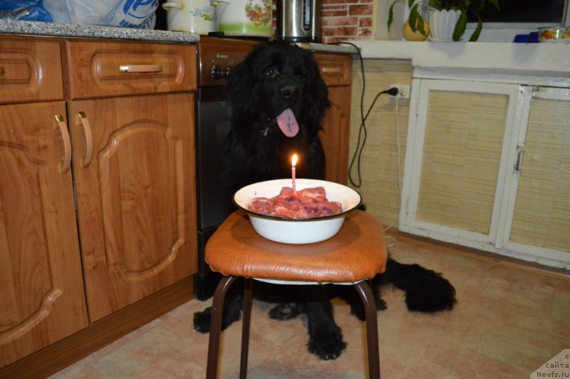 Фотография № 137824