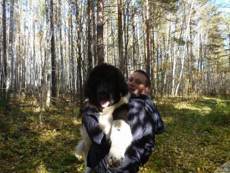 Фотография № 137838