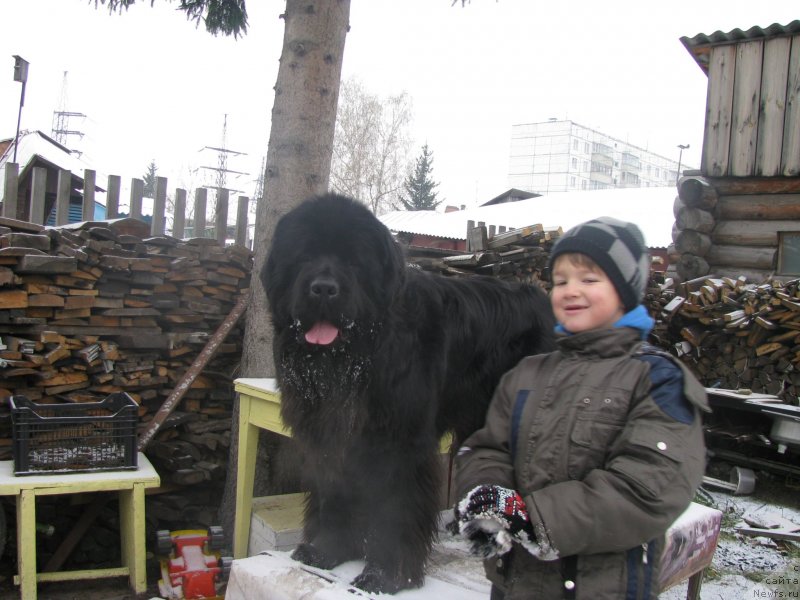 Фотография № 137843