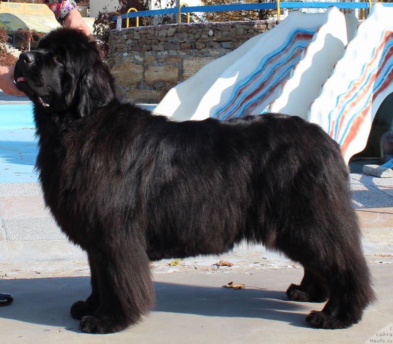 Фотография № 137848