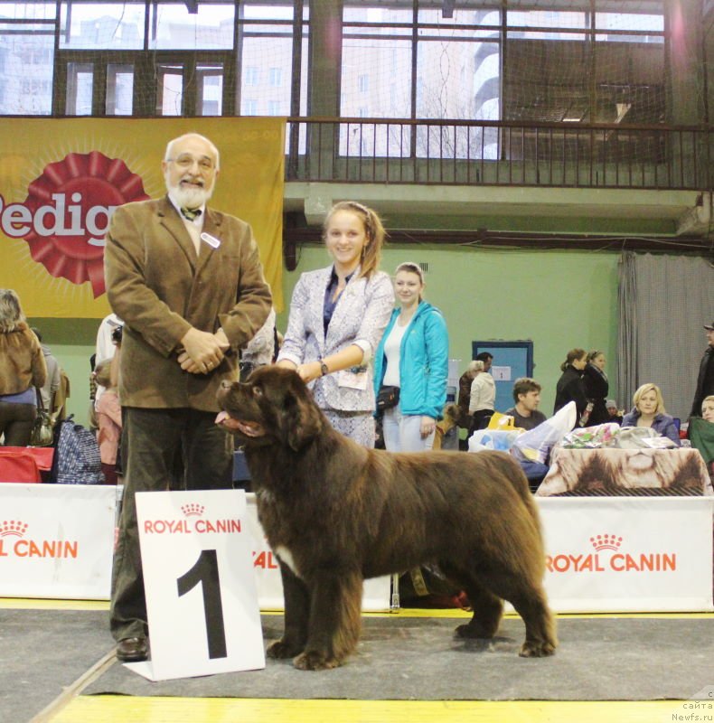 Фотография № 137850