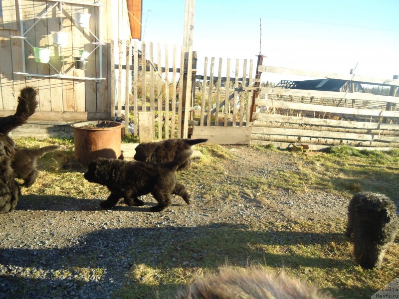 Фотография № 137886