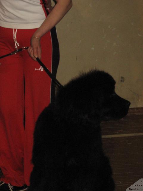 Фотография № 13795