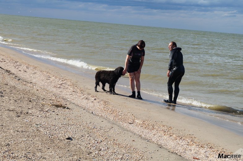 Фотография № 137956