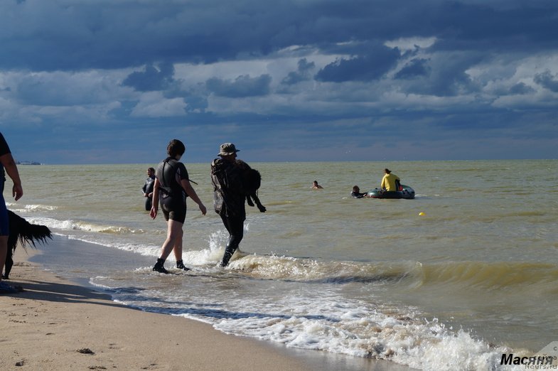 Фотография № 137957