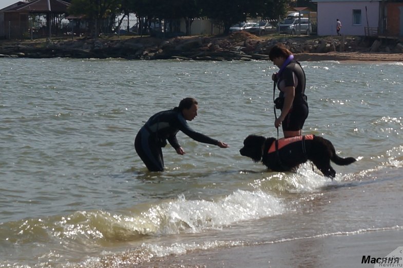 Фотография № 137958