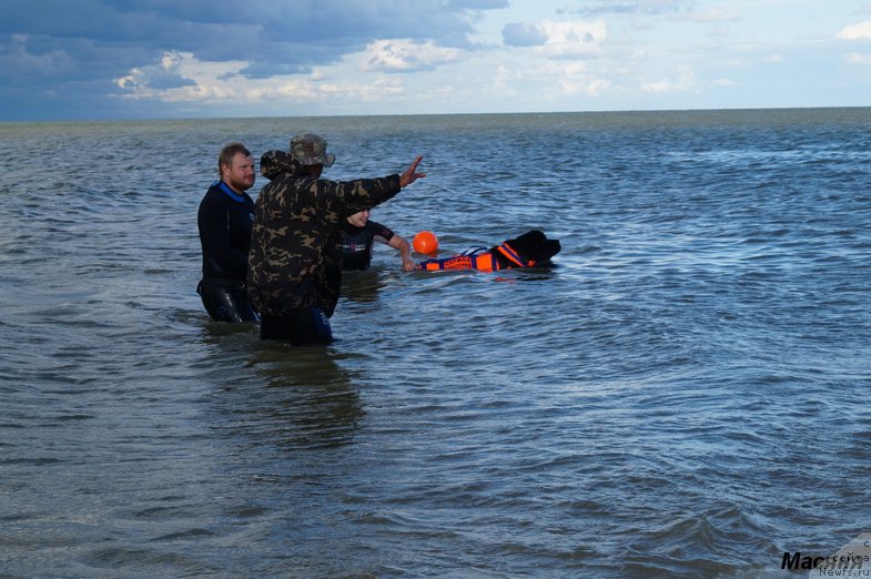 Фотография № 137960