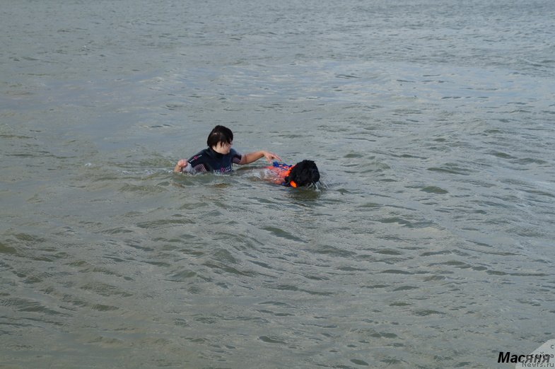 Фотография № 137961