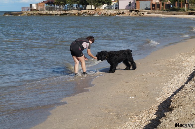 Фотография № 137962