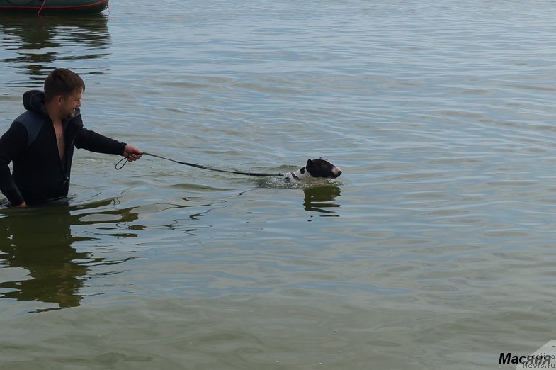 Фотография № 137963