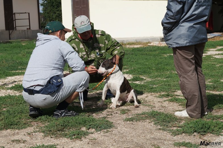 Фотография № 137964