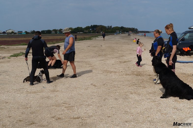 Фотография № 137965