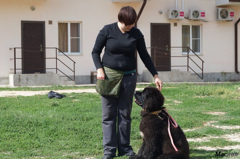 Фотография № 137967