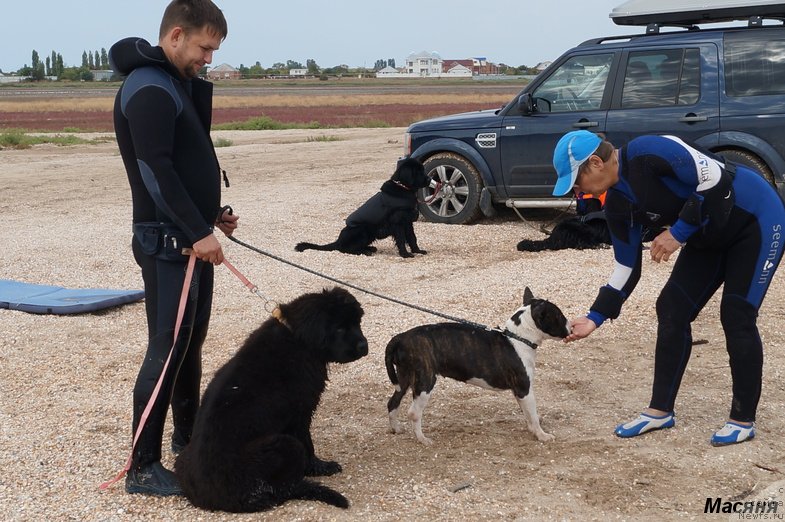 Фотография № 137968