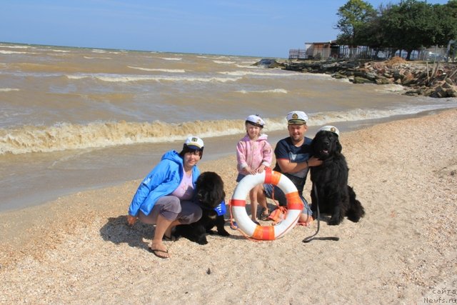 Фотография № 137969