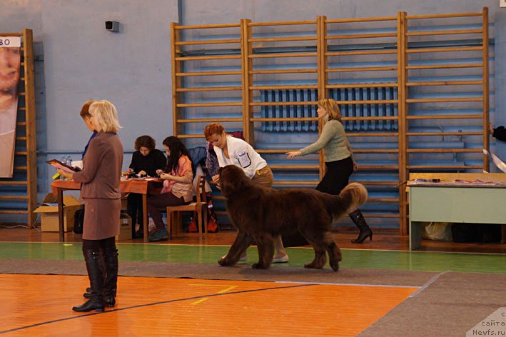 Фотография № 137972