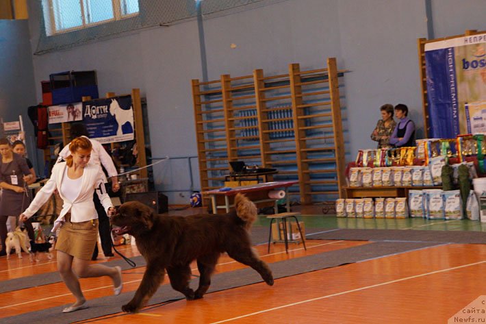 Фотография № 137973