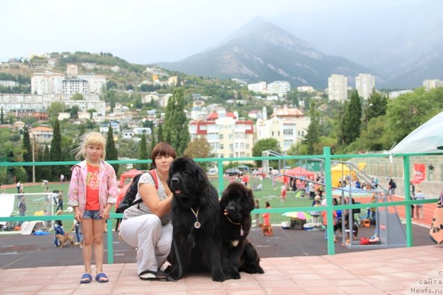 Фотография № 137978