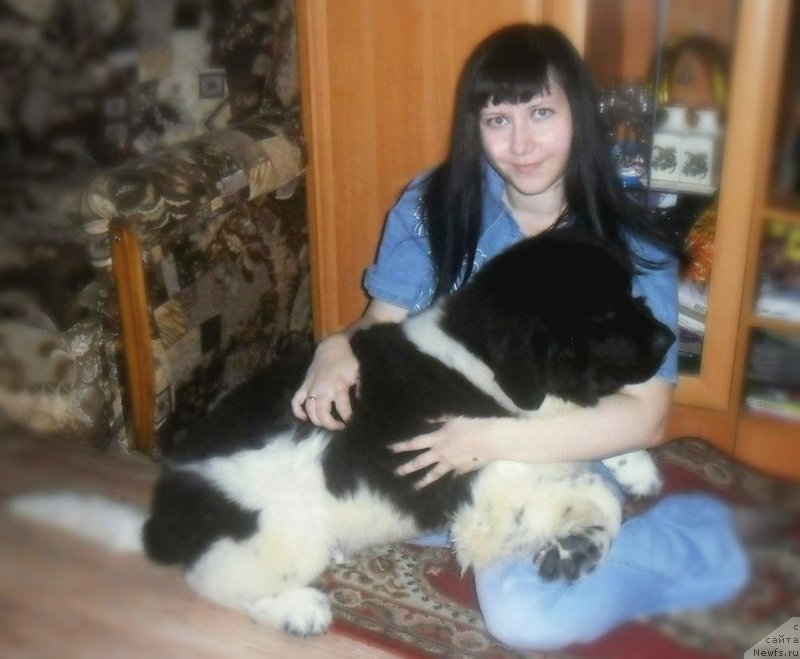 Фотография № 137988