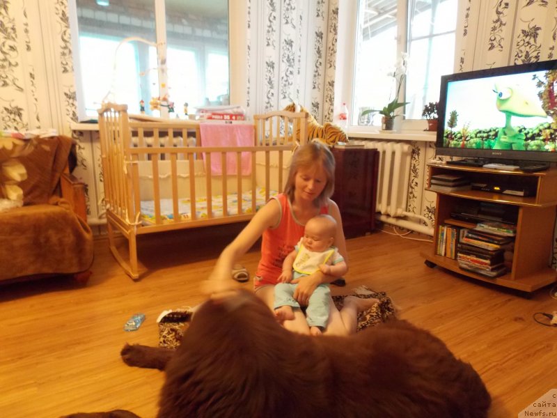 Фотография № 137998