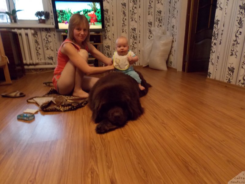 Фотография № 137999