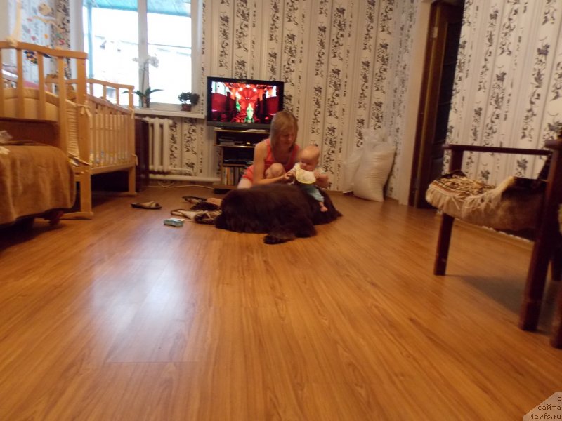 Фотография № 138001